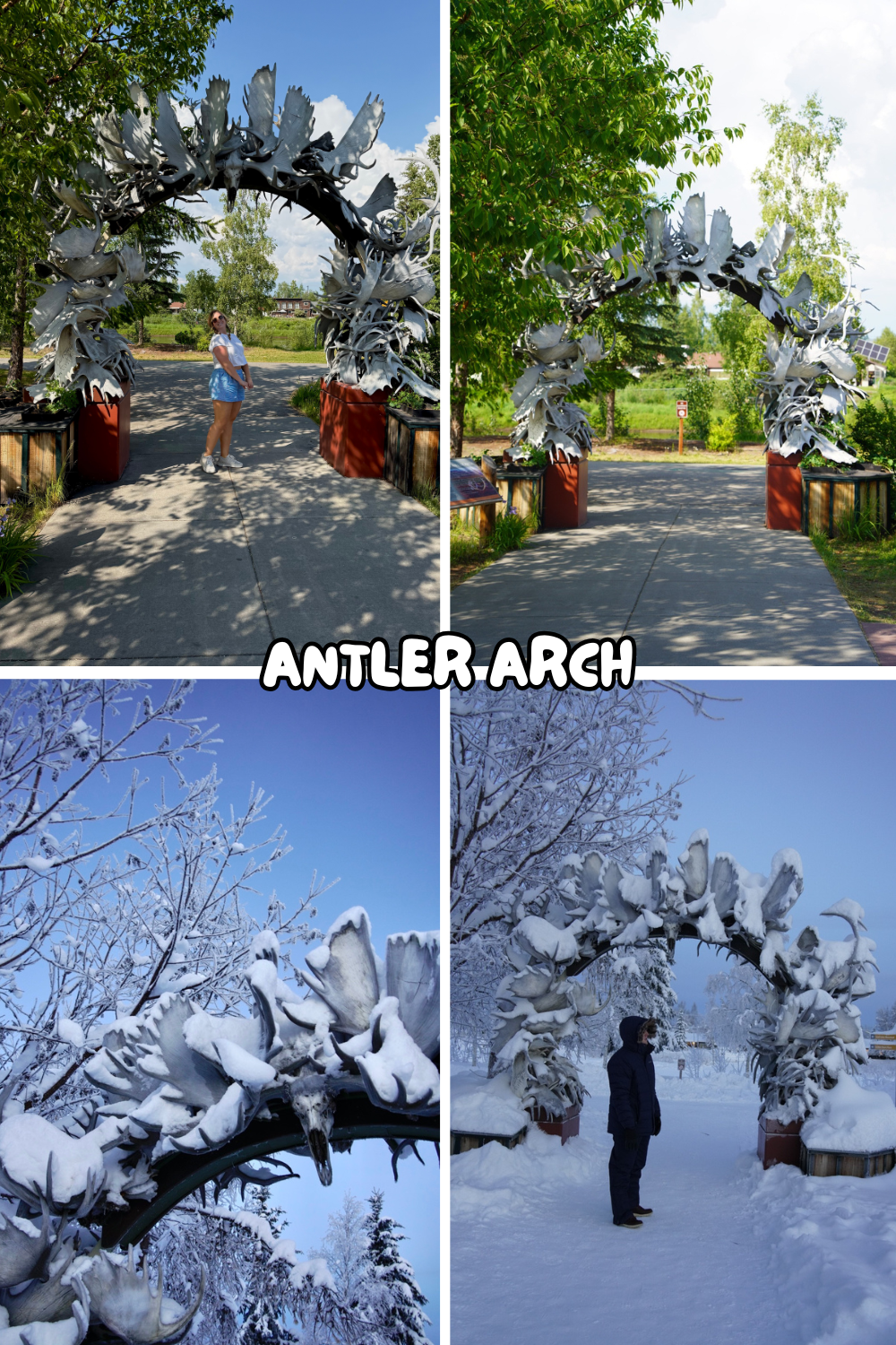 photo of an antler arch in alaska