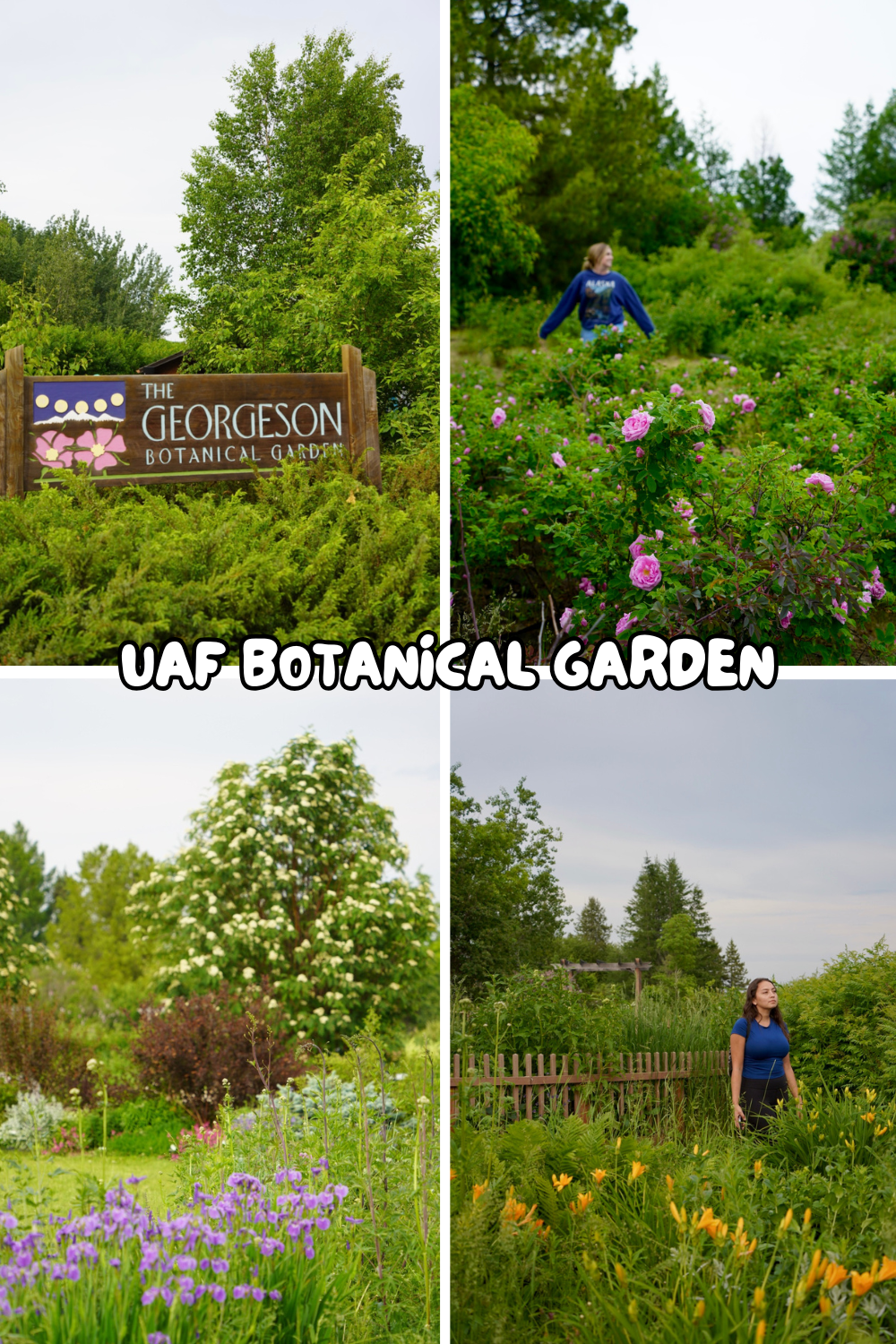 botanical garden at university of alaska fairbanks