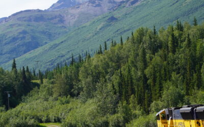 Fairbanks to Denali: Train Experience