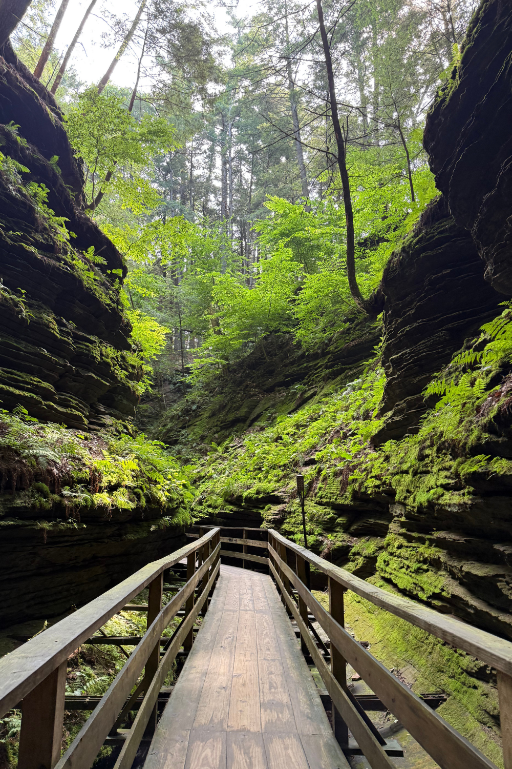 witches gulch in wisconsin photo