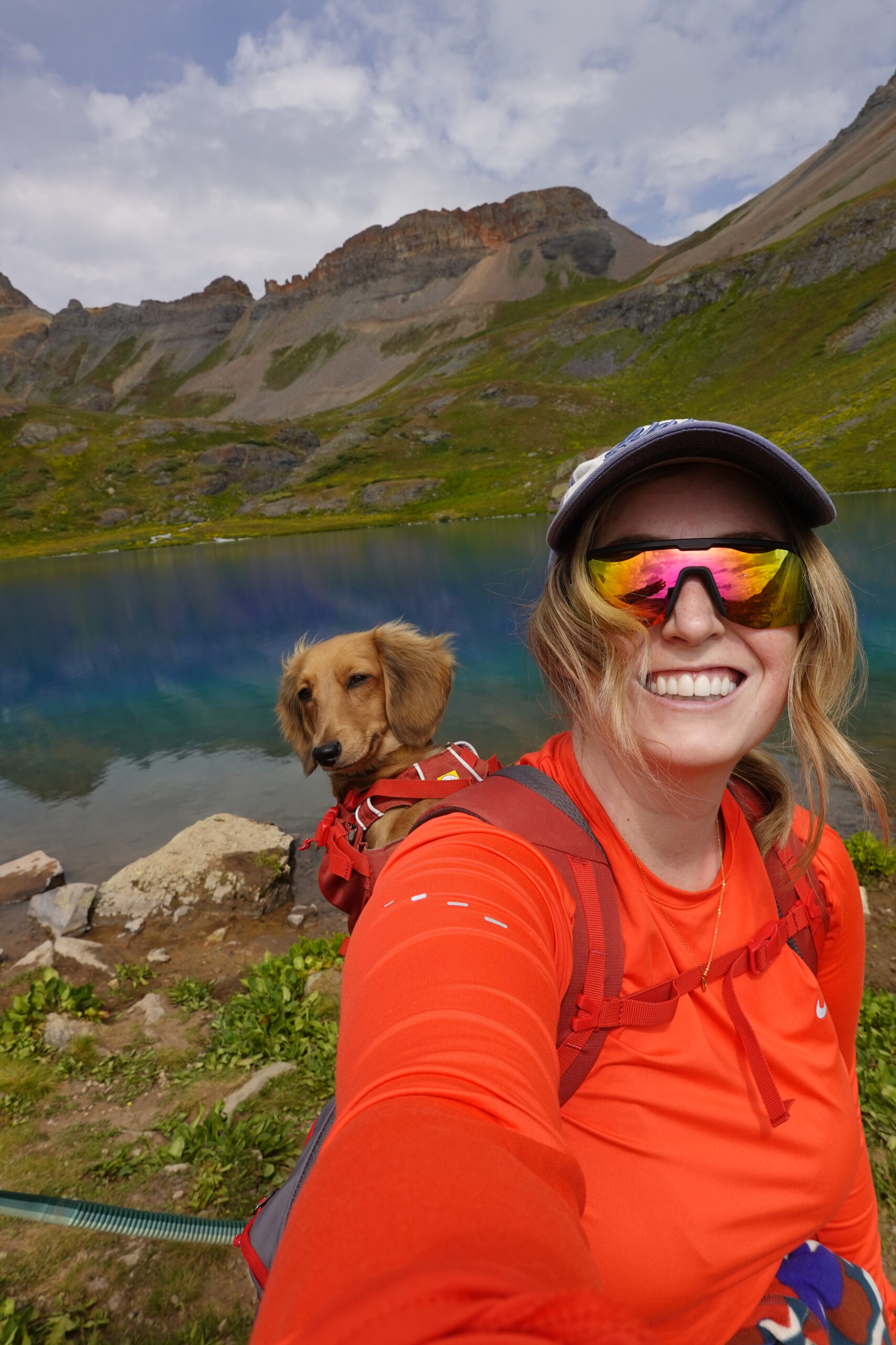 Best Hiking Carrier for Dogs