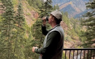 Simple Things To Do in Ouray Colorado