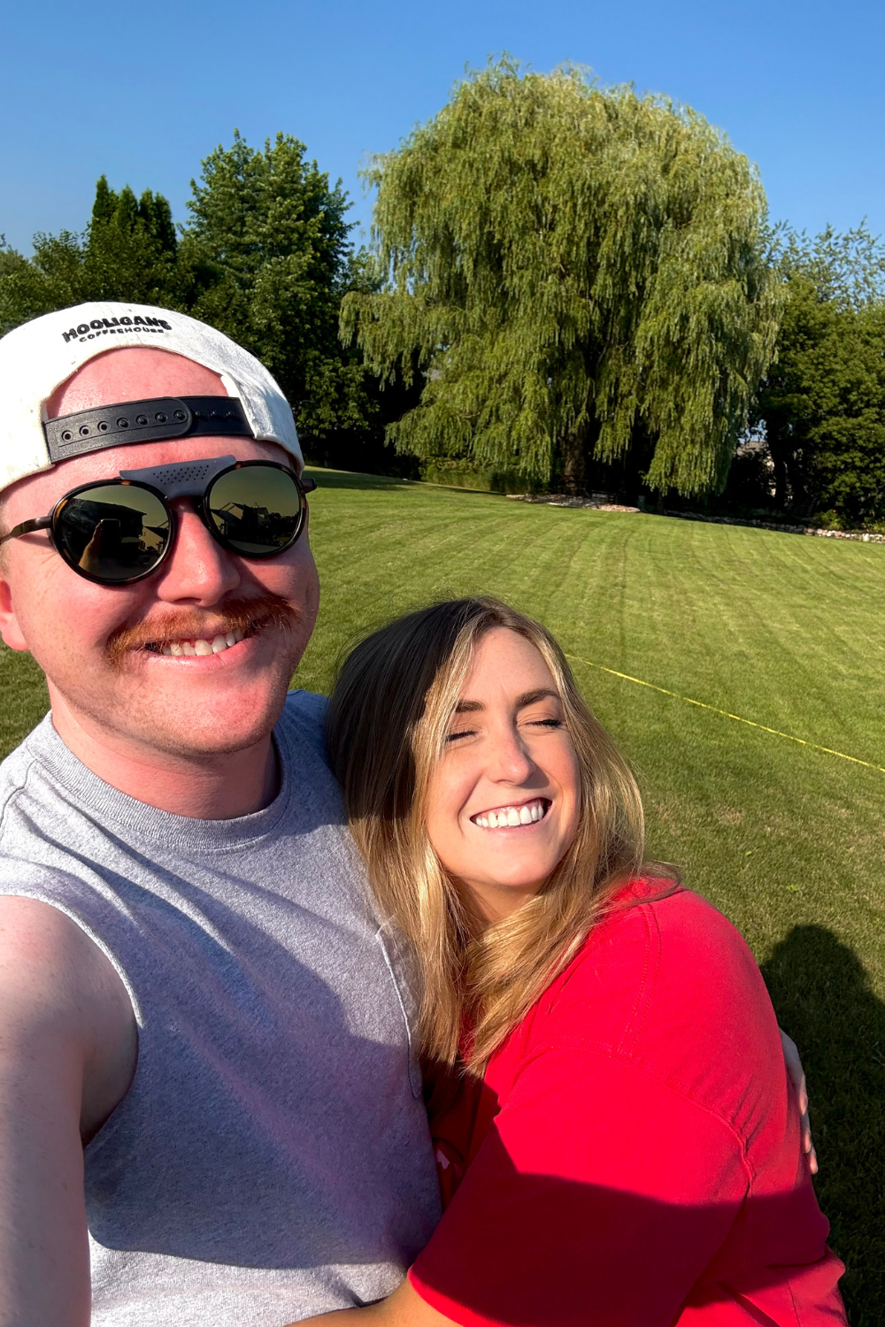 three cactus at sunset