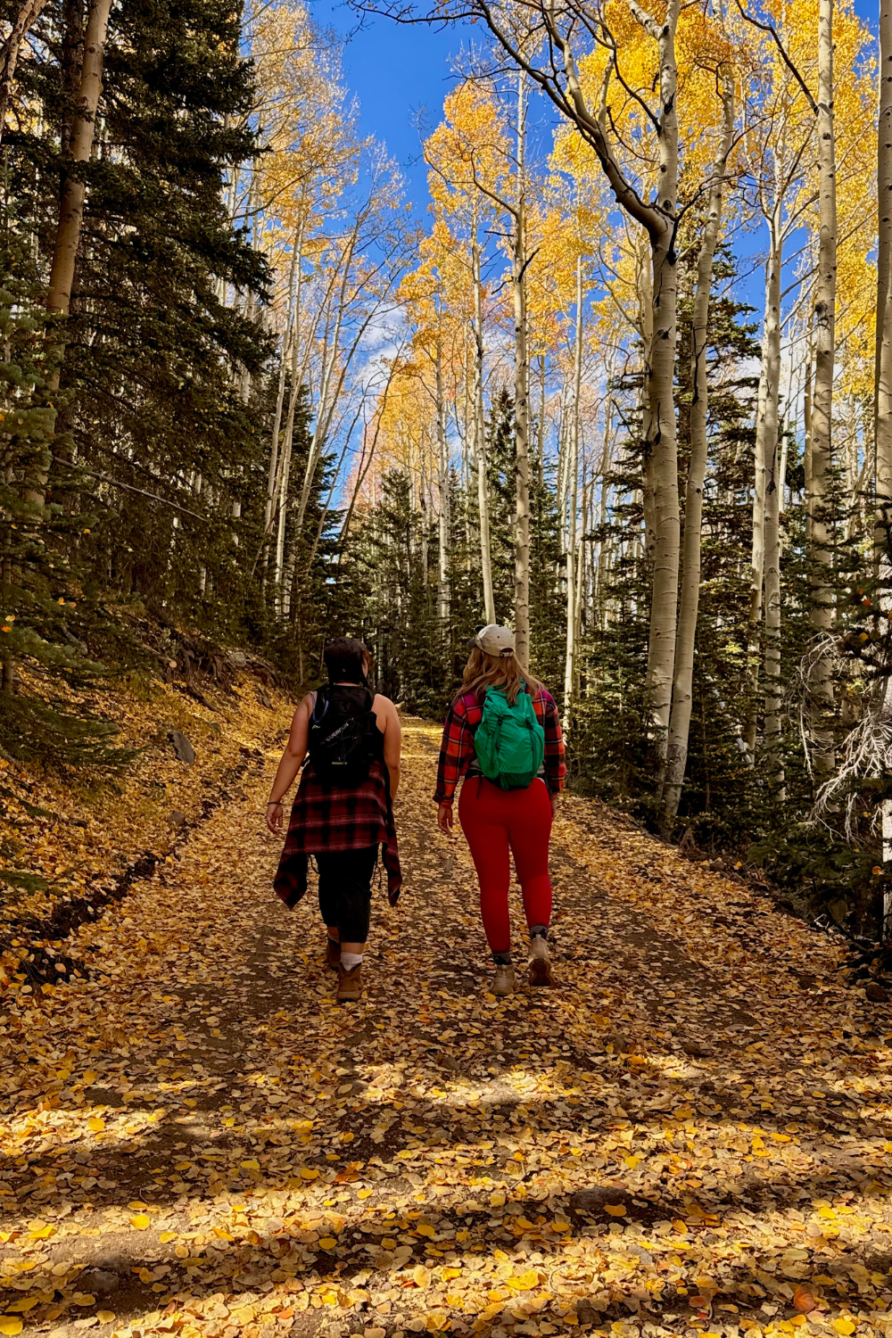 flagstaff in the fall