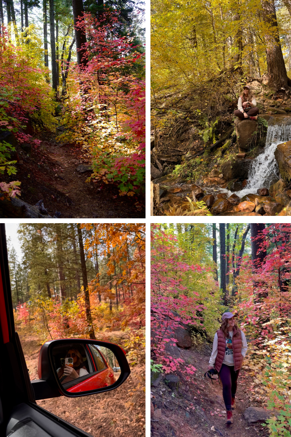 fall colors in arizona near payson