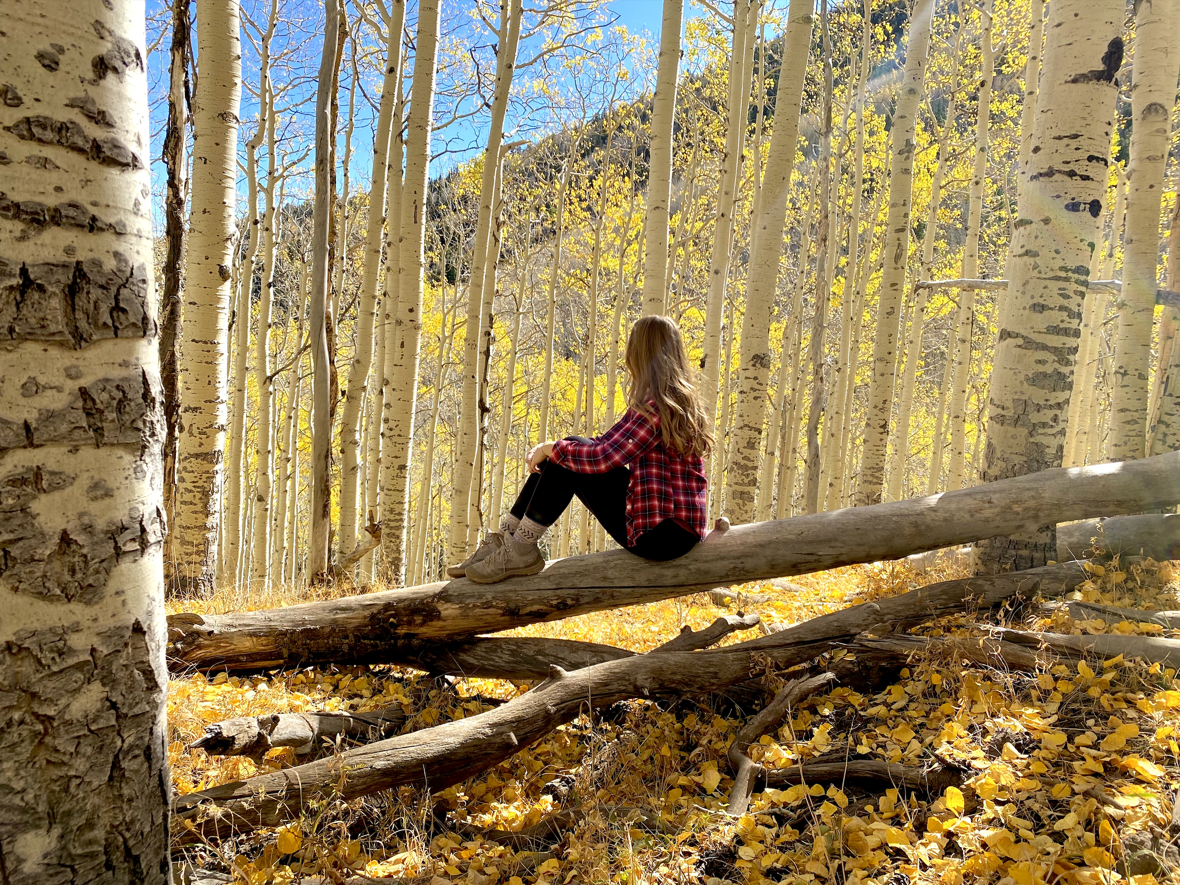 photo of a girl in aspens in the fall in flagstaff