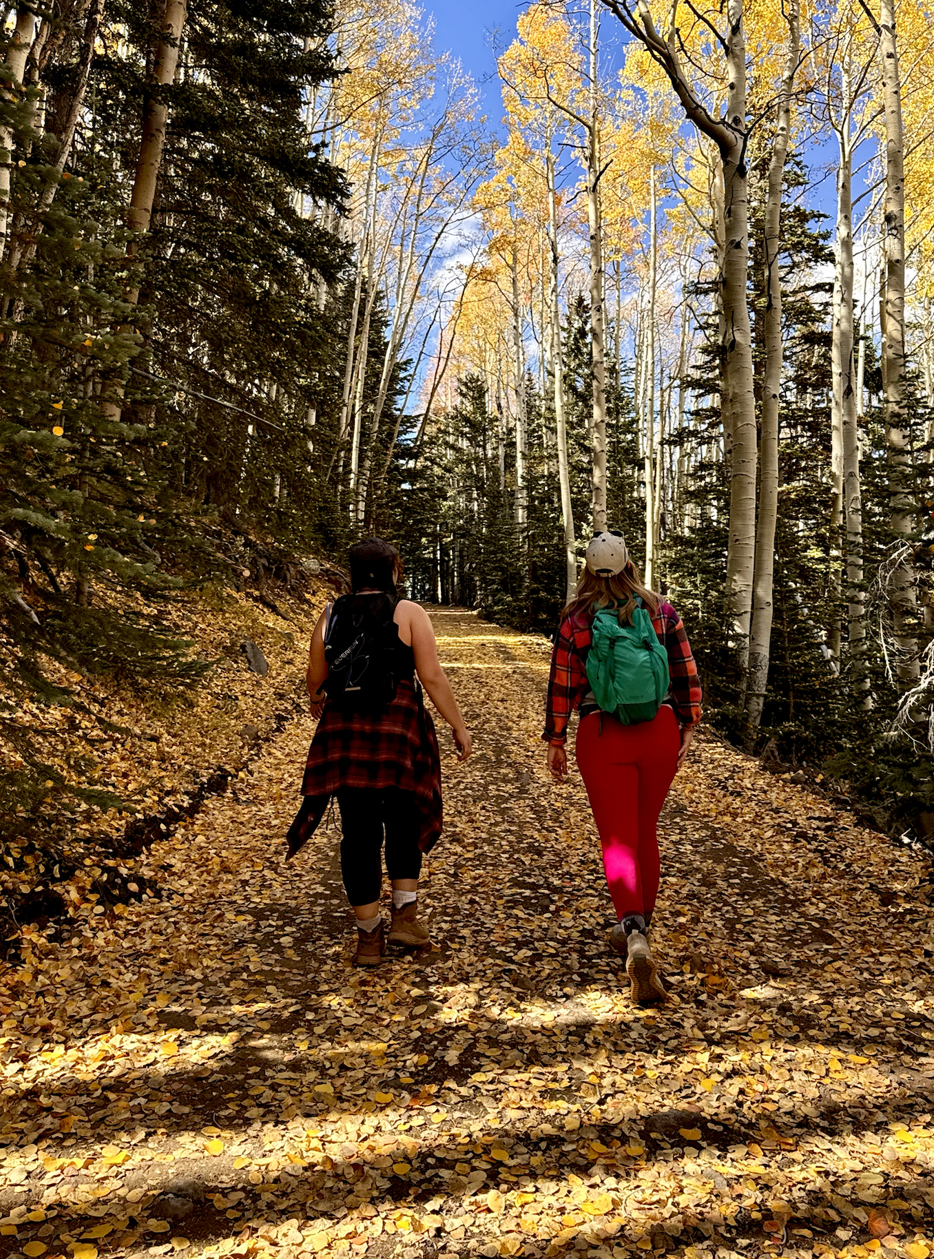 photo of flagstaff in the fall colors