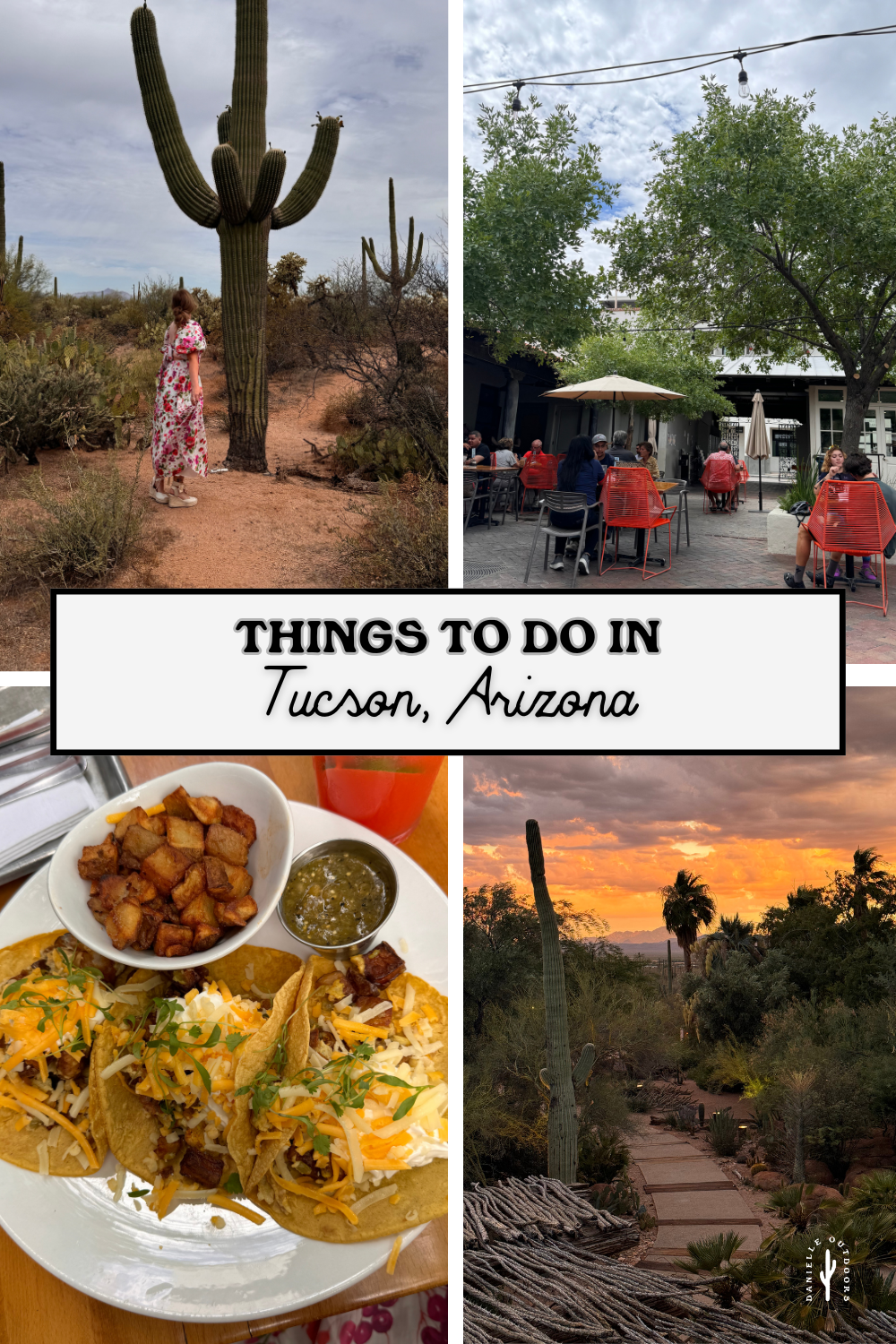 photo of pinterest pin saying things to do in tucson arizona
