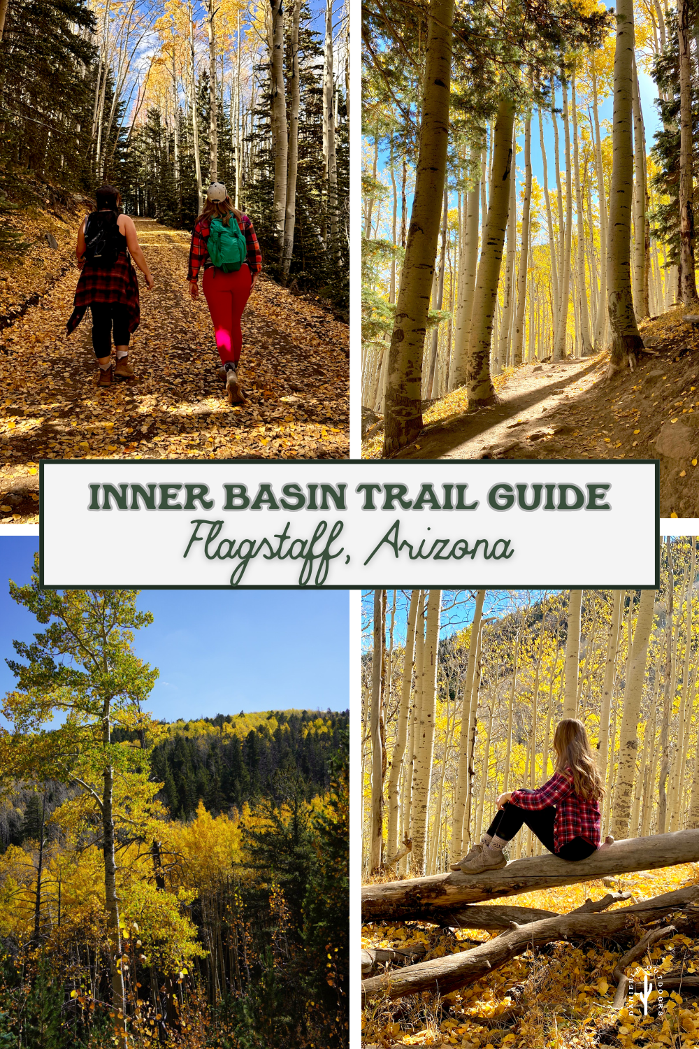 milwaukee coffee shop photos