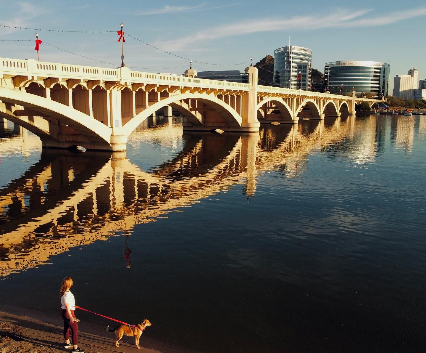 photo of tempe town lake and a girl and her dog