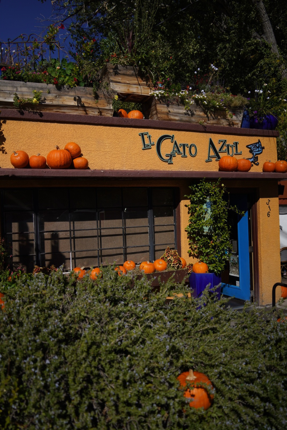 Best Restaurants in Prescott You Can’t Miss