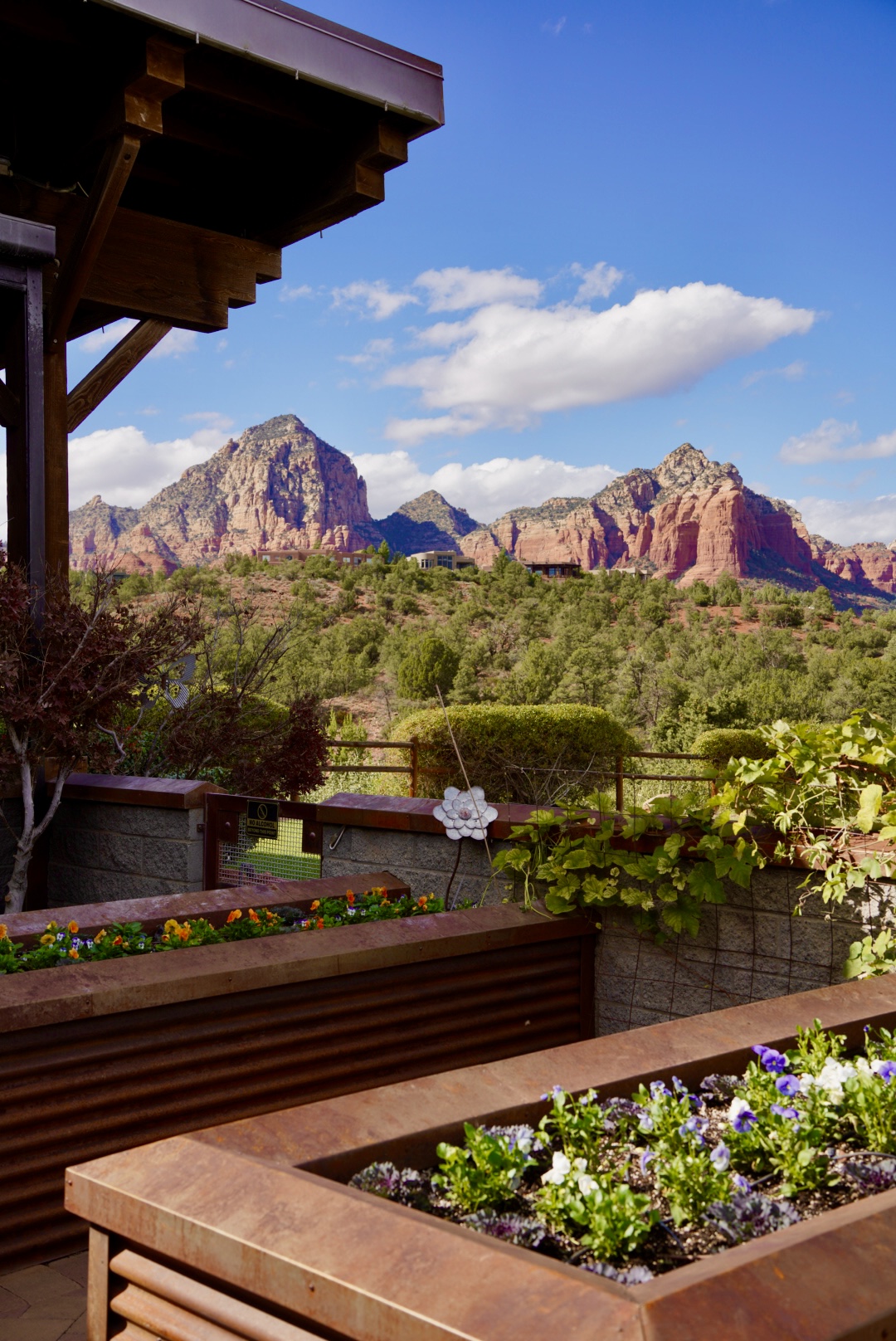 Best Restaurants in Sedona