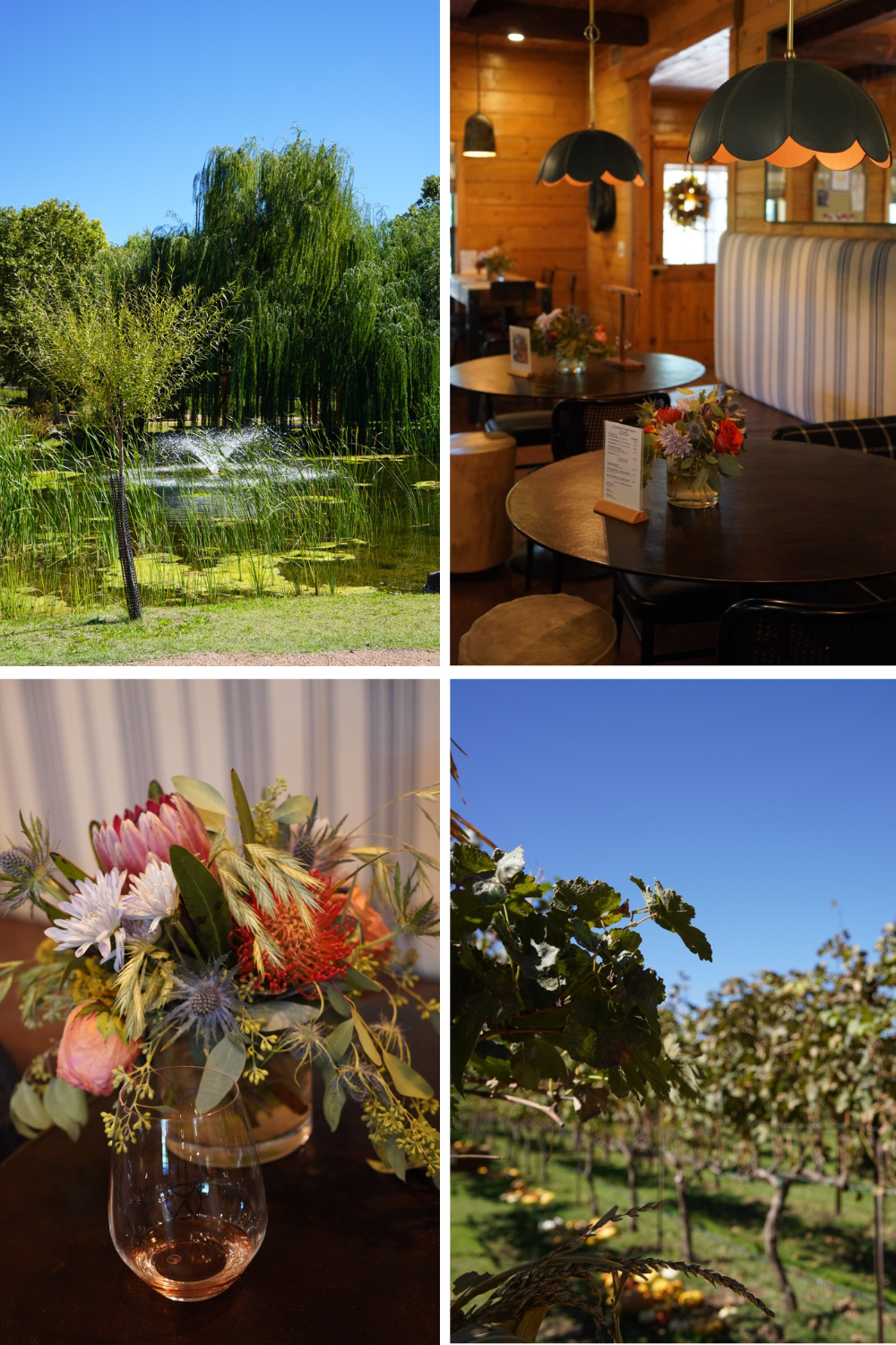 photos of a winery near sedona