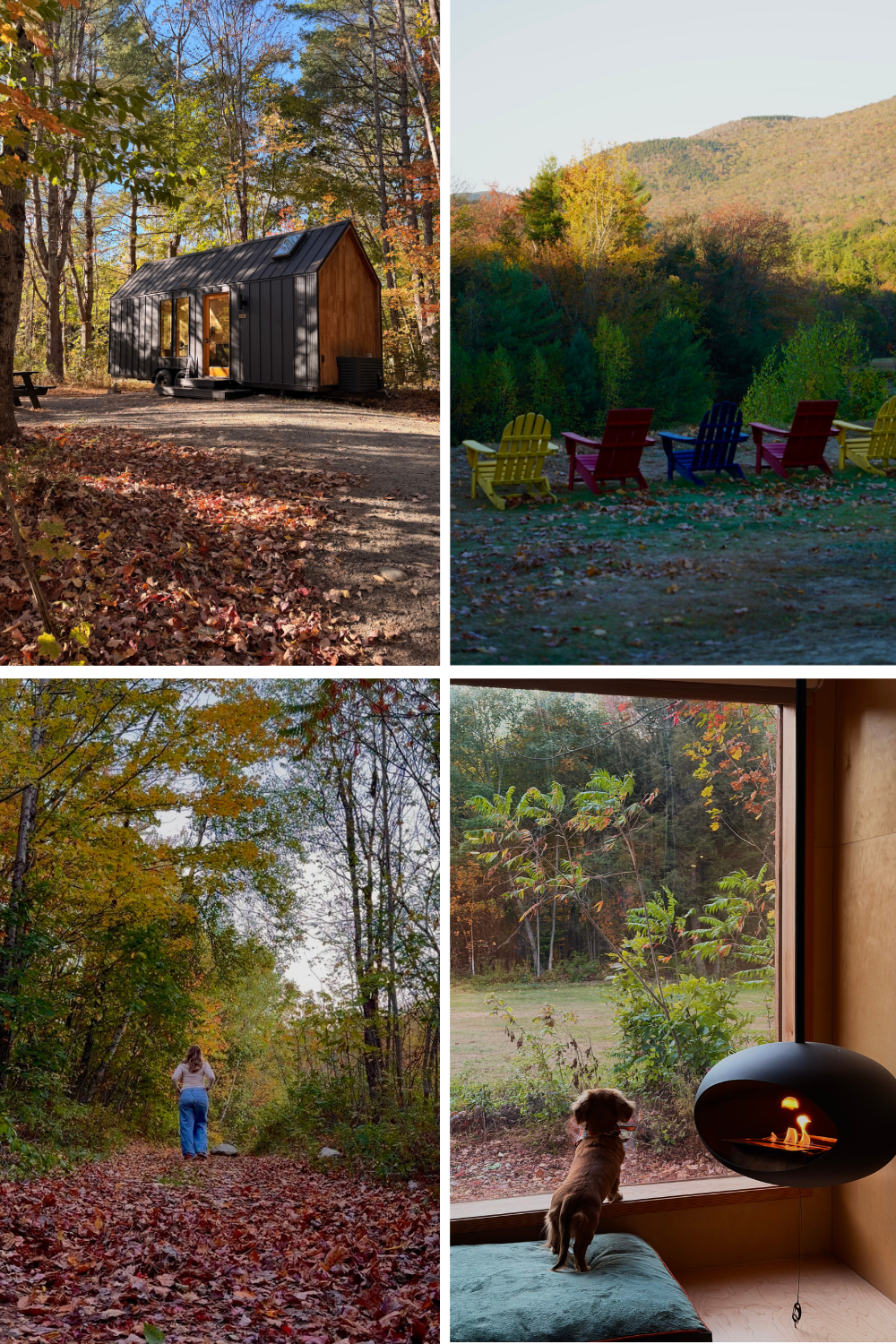 photos of a black a frame in nature