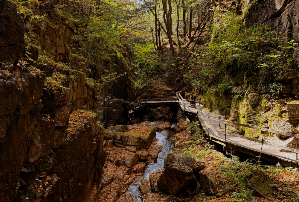 Top 5 Things To Do in Lincoln, NH