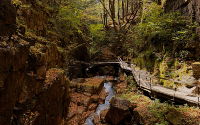 Top 5 Things To Do in Lincoln, NH