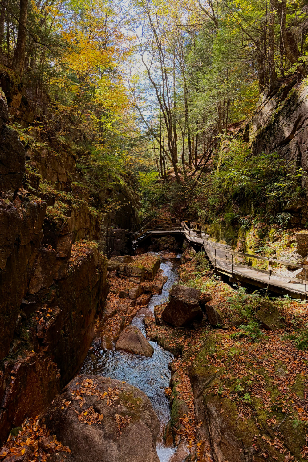 Top 5 Things To Do in Lincoln, NH