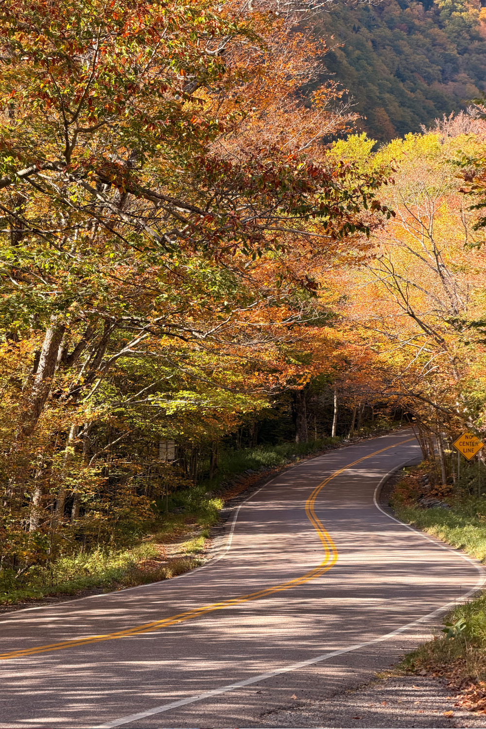 photos of a beautiful curvy road in the fall