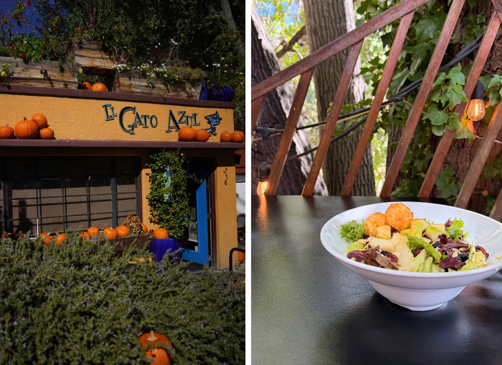 photos of el gato azul in prescott