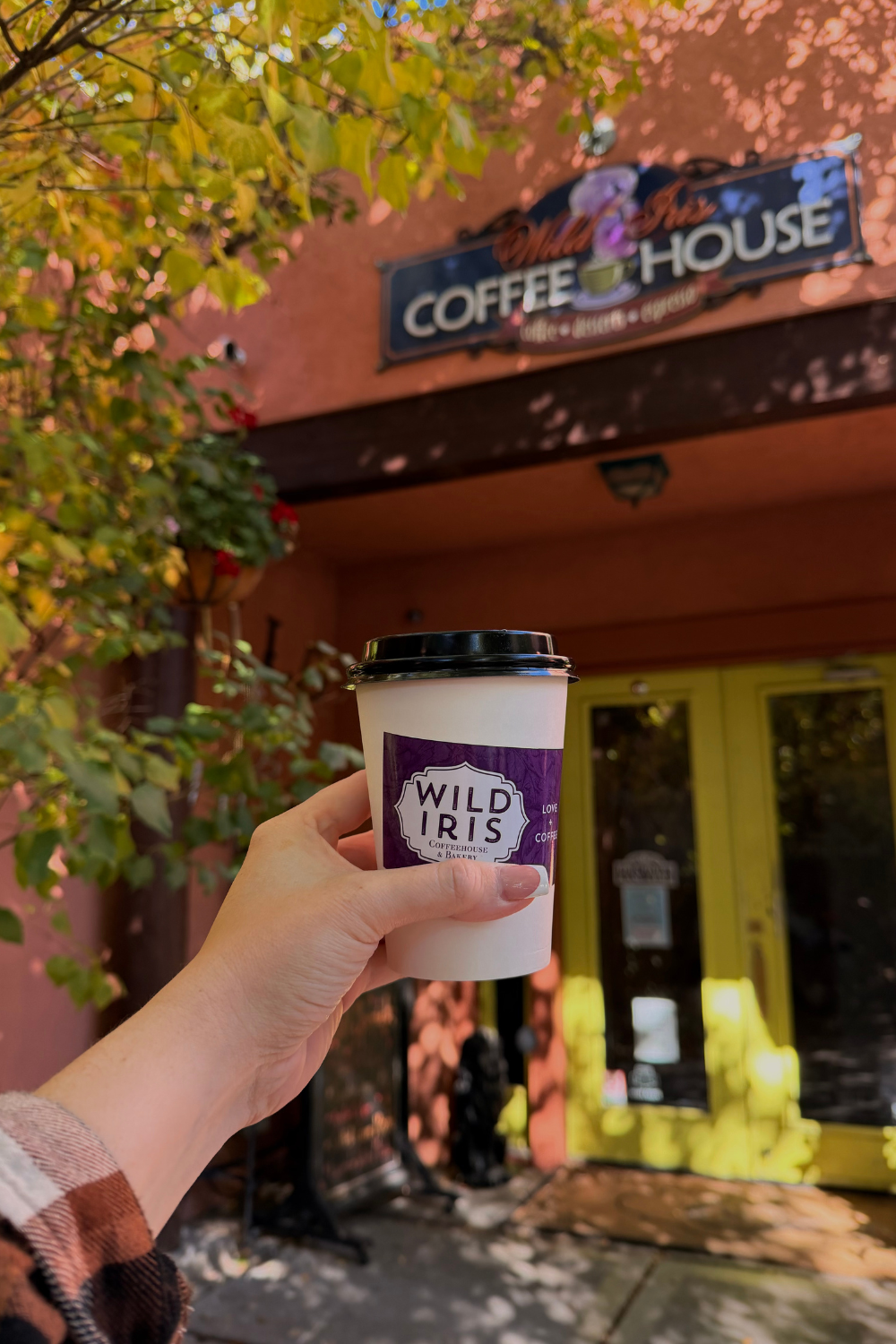 girl holding up a to go coffee cup reading wild iris, in prescott arizona