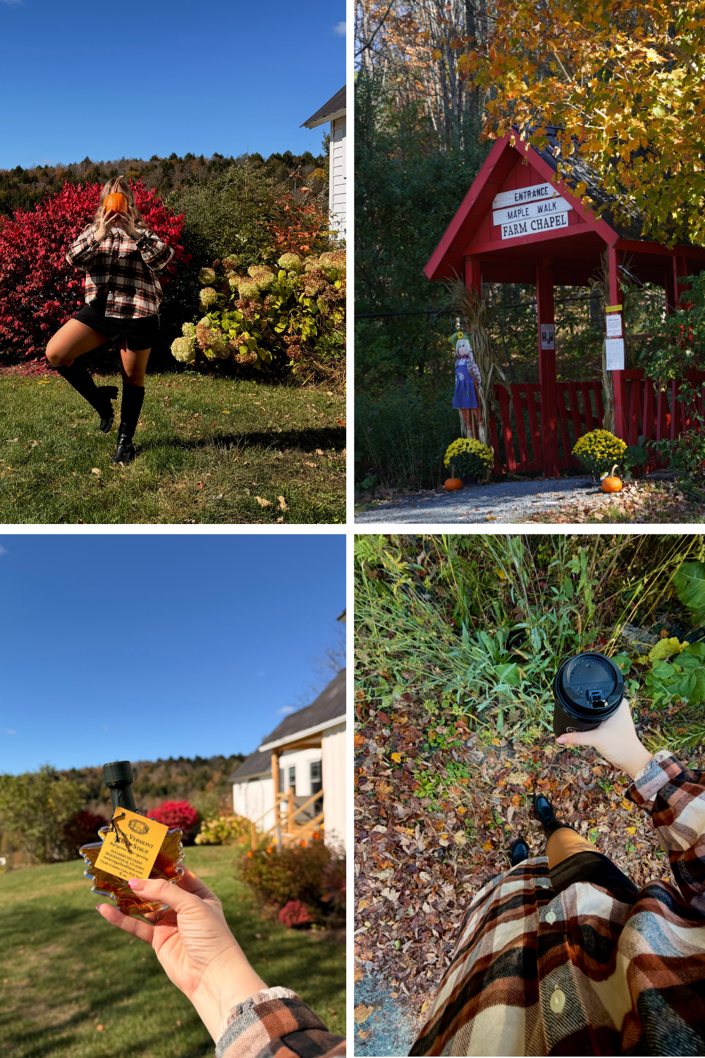 photos of sugar bush farm in vermont