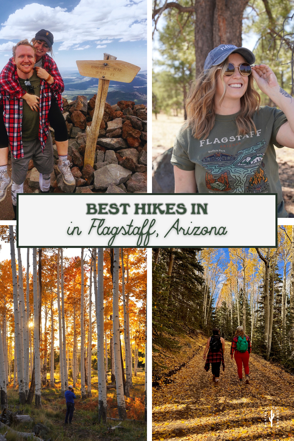 photos of tom moody trail in flagstaff