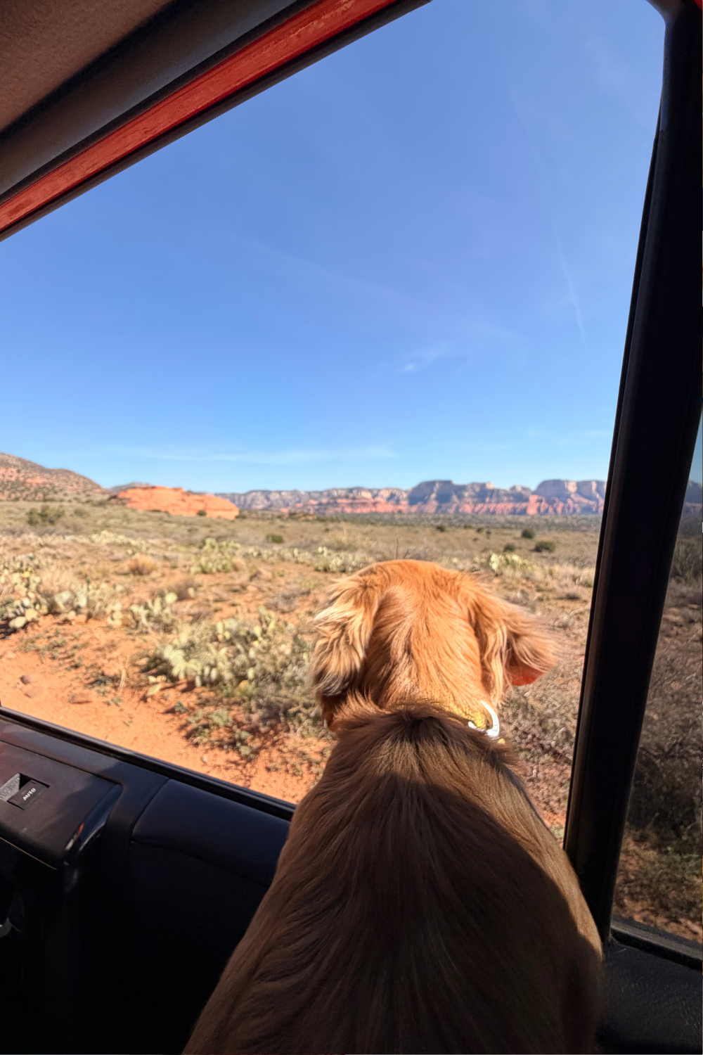 photo of a dirt road in sedona and dog looking out the car window