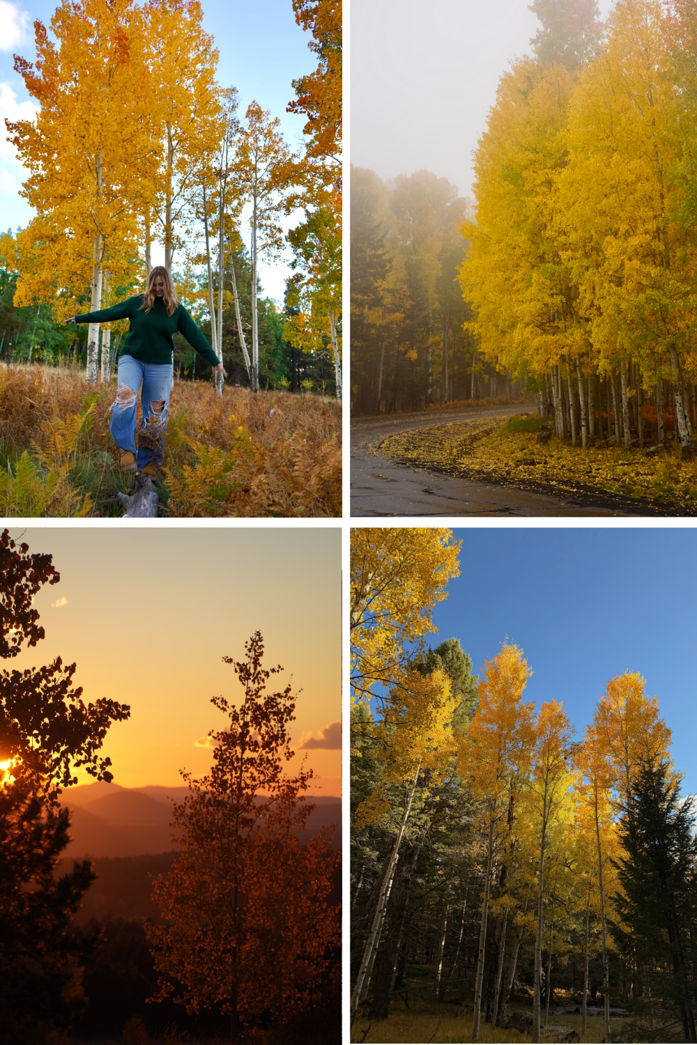 photos of aspen corner in flagstaff