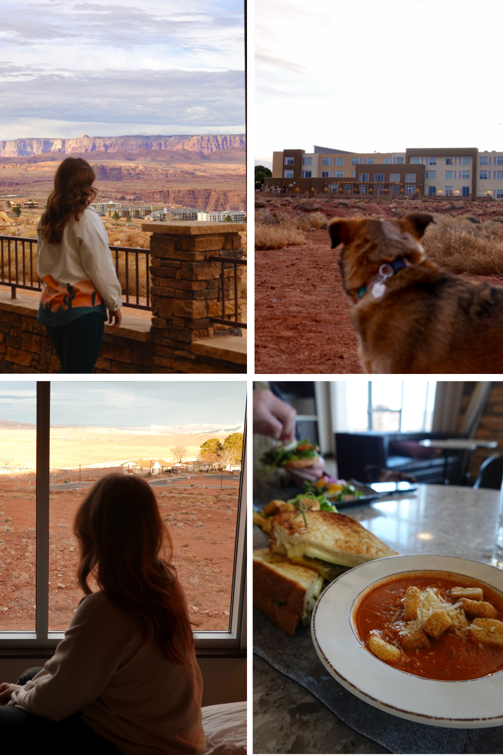 photos of a pizza shop in prescott arizona