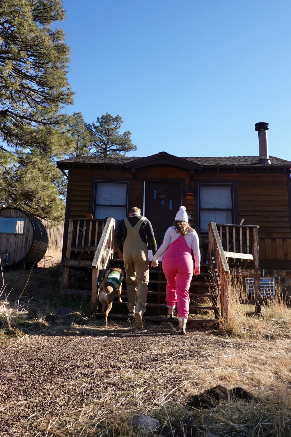 couple holding hands with a dog walking up stairs to a cabin
