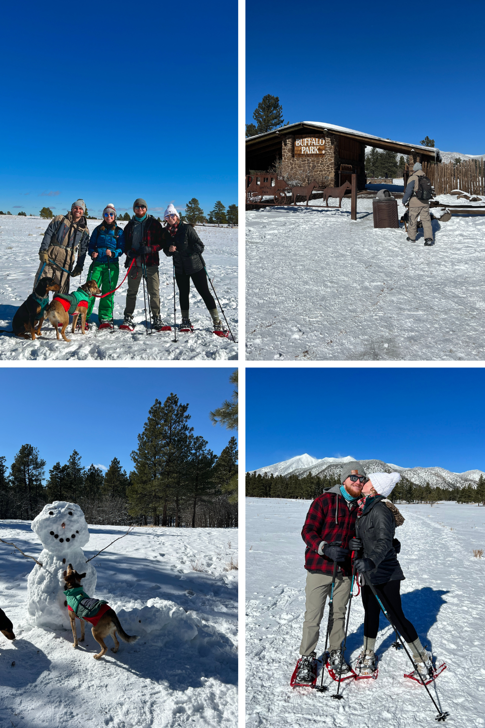 photos of people snowshoeing in flagstaff arizona