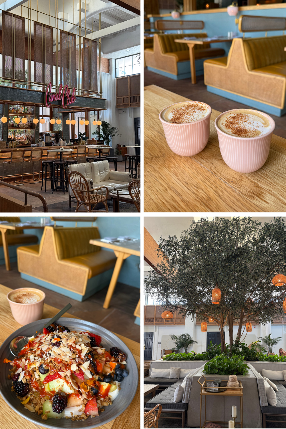 photos of the scott resort and spa