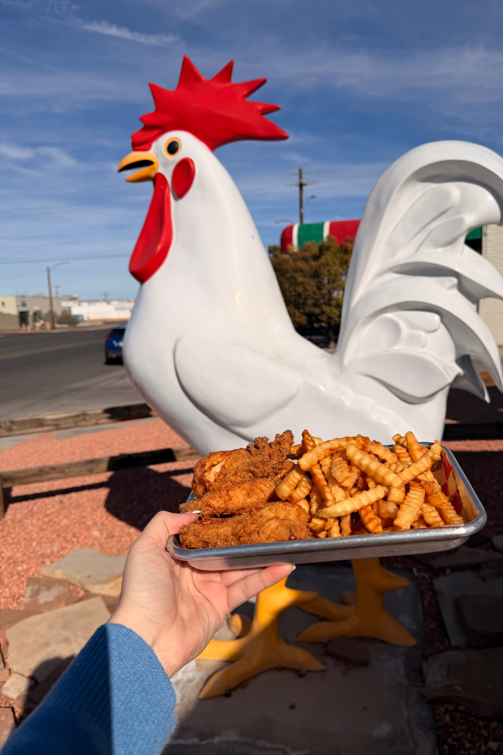 girl holding up a tray of chicken and fries in front of a chicken