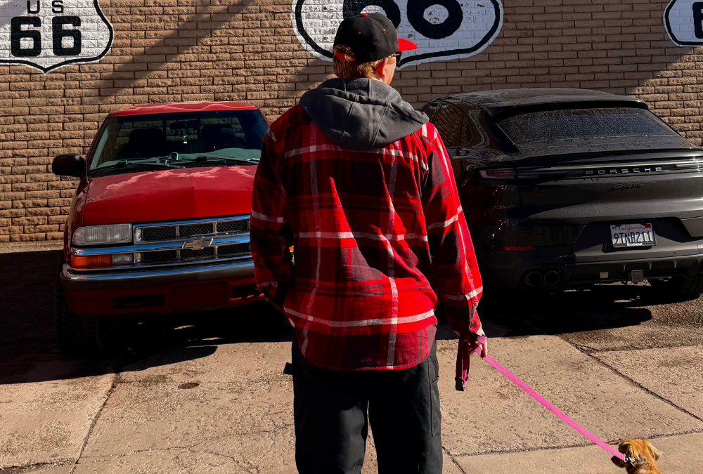 Things To Do in Williams, Arizona