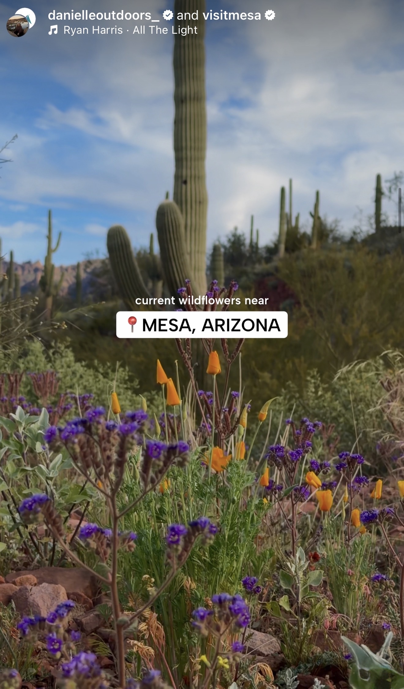 photo of danielle outdoors instagram reel