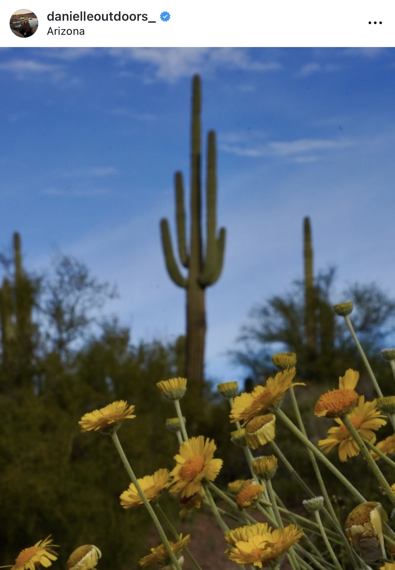 photo of danielle outdoors post on 1/29/26
