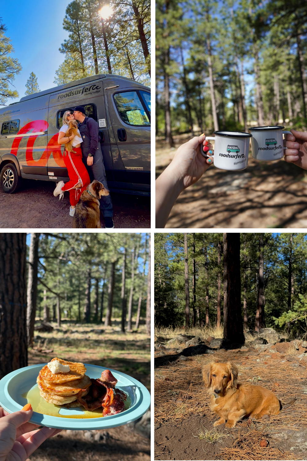 photos of camping in the white mountains