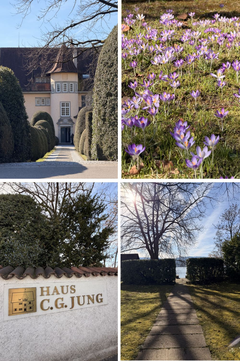 photos of carl jungs house