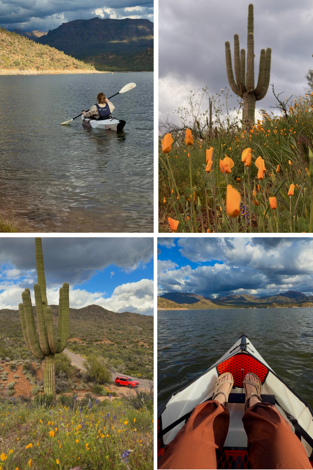 photos of bartlett lake near phoenix
