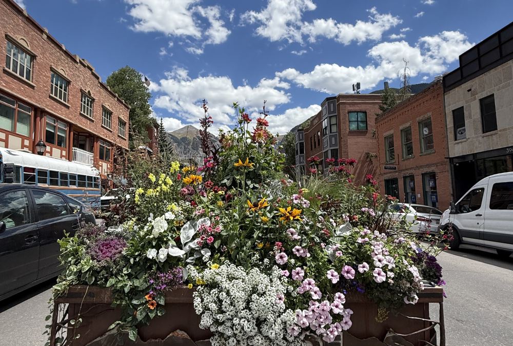 15 Best Things to Do in Telluride in Summer