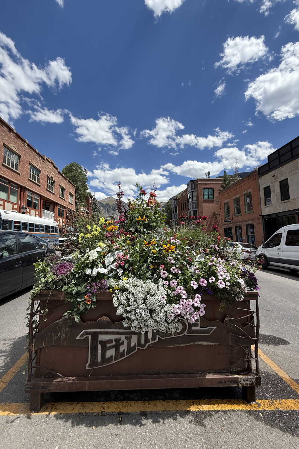photo of telluride flowers in summer