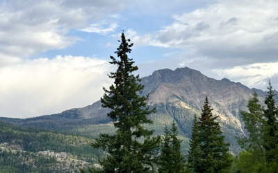 Million Dollar Highway Colorado: Best Stops, Map & Driving Tips