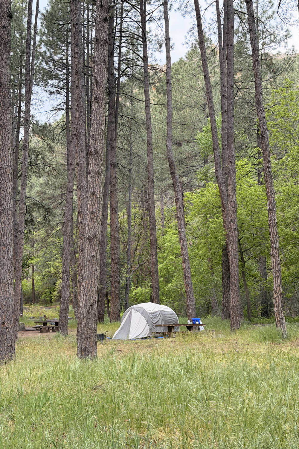 photo of developed campground in sedona arizona