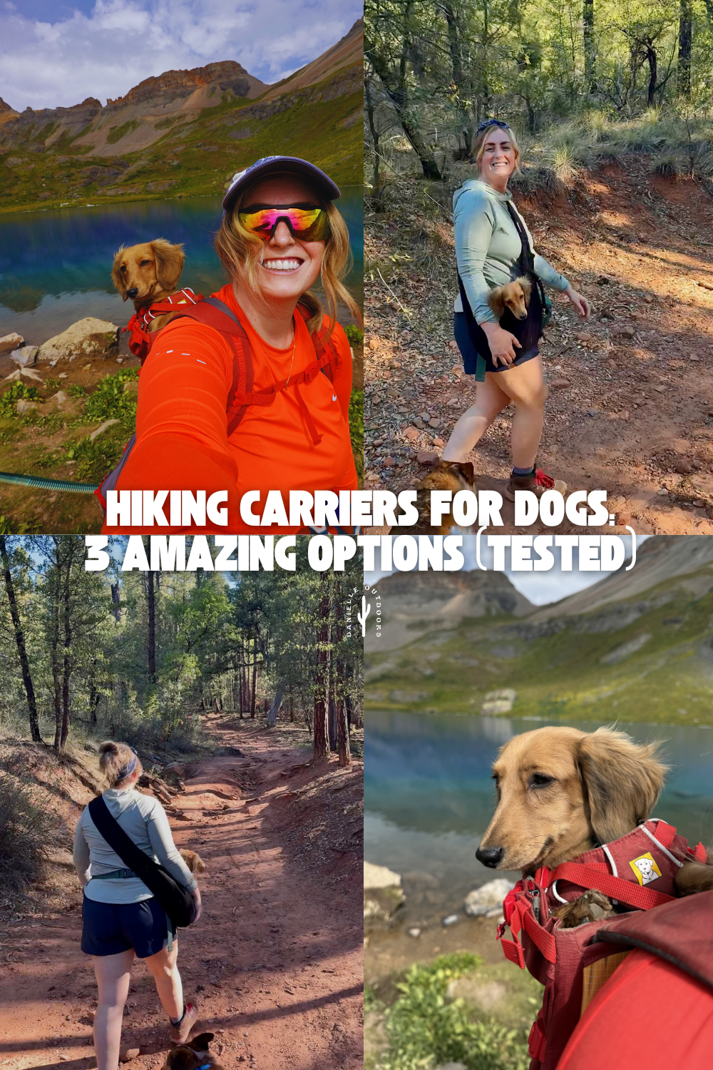 girl hiking with a small dog in a sling