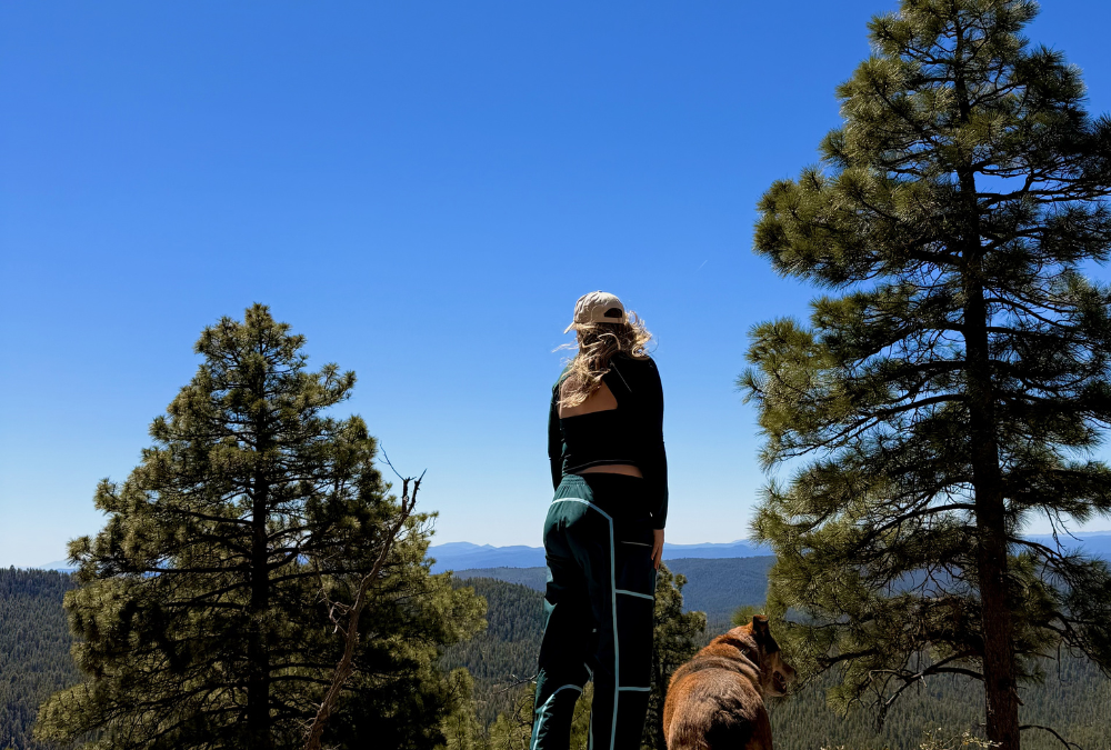 Camping on the Mogollon Rim: Best Campgrounds & Dispersed Sites (2026 Guide)