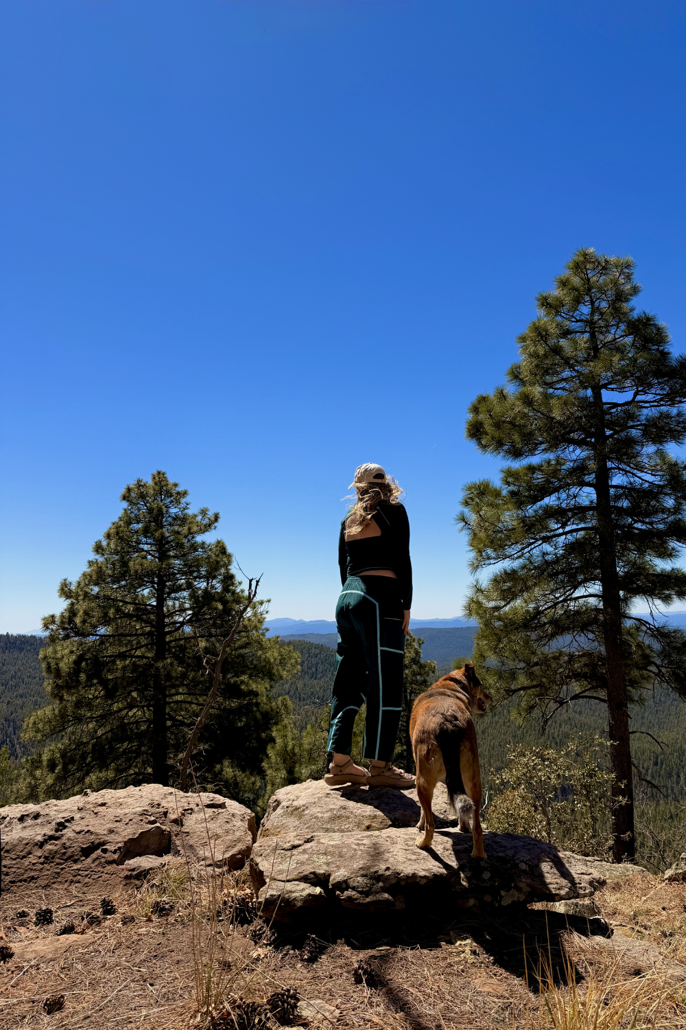 photo of a girl and a dog on a cliff overlook in the forest