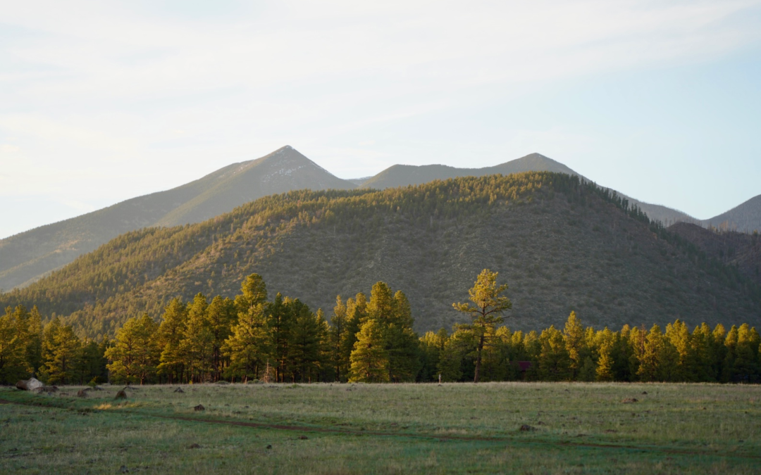 Best Day Trips from Phoenix: Scenic Drives, Hikes & Small Towns