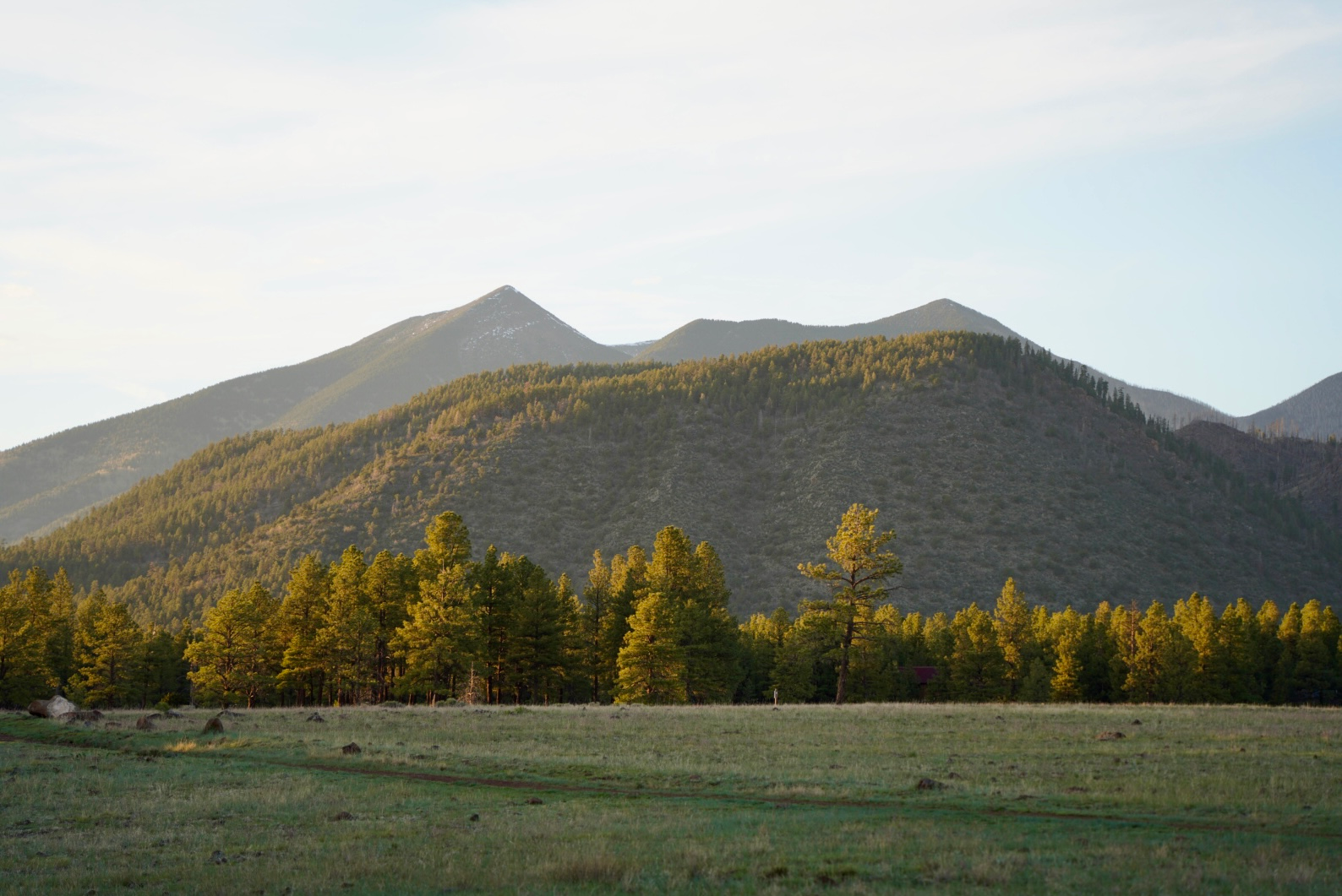 photo of san francisco peaks in flagstaff
