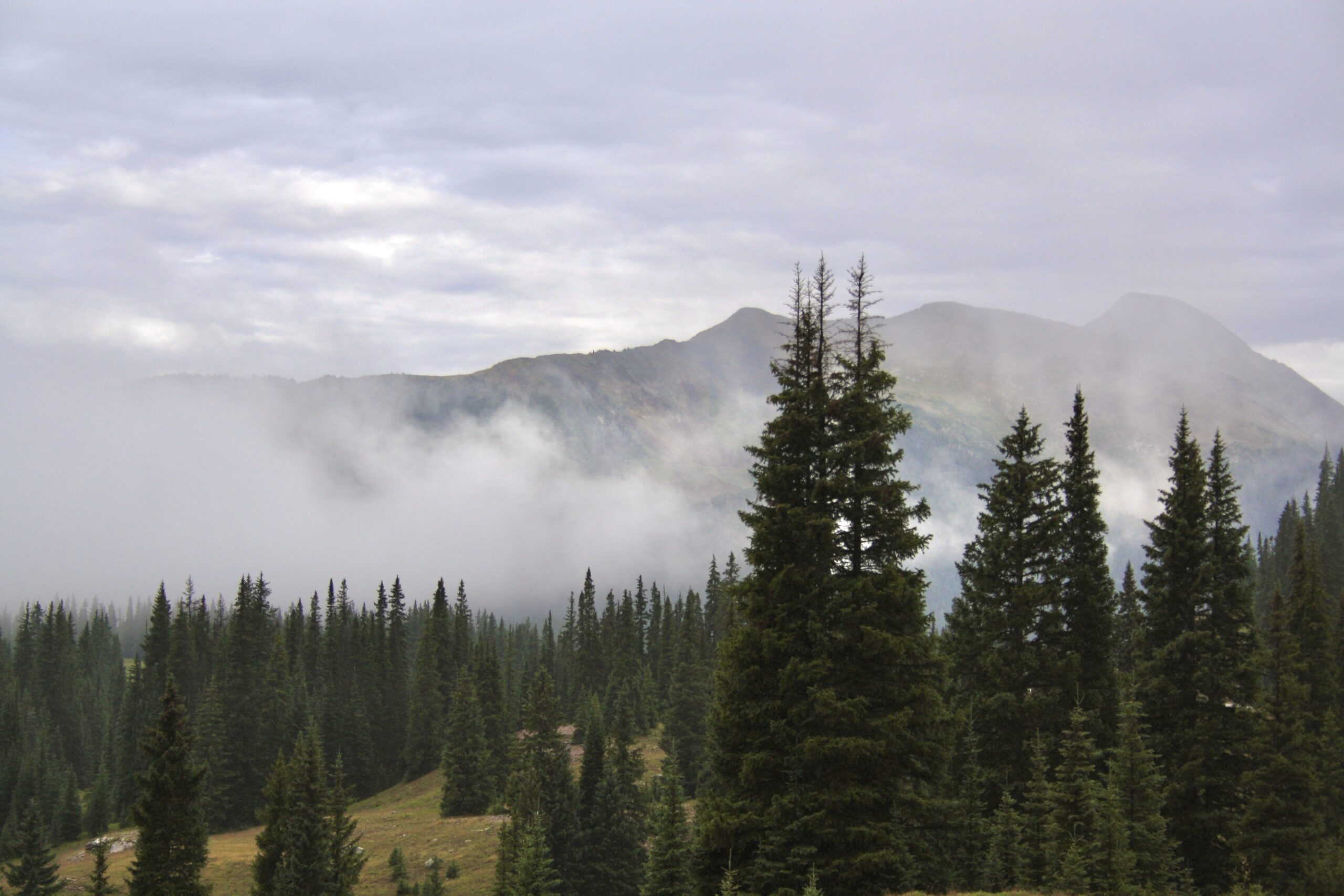 photo off the highway between durango and silverton