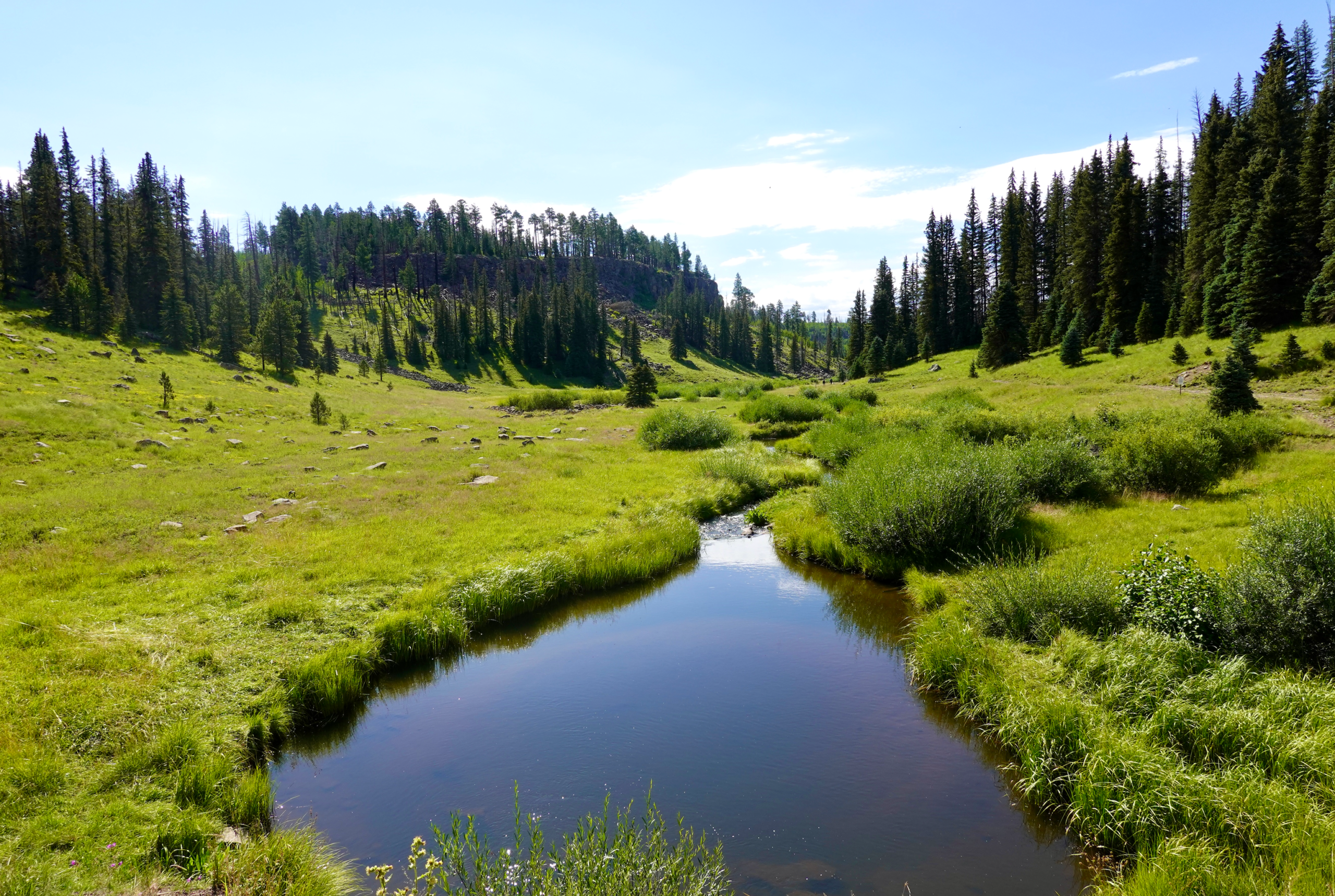 photo of the thompson trail in the white mountains arizona